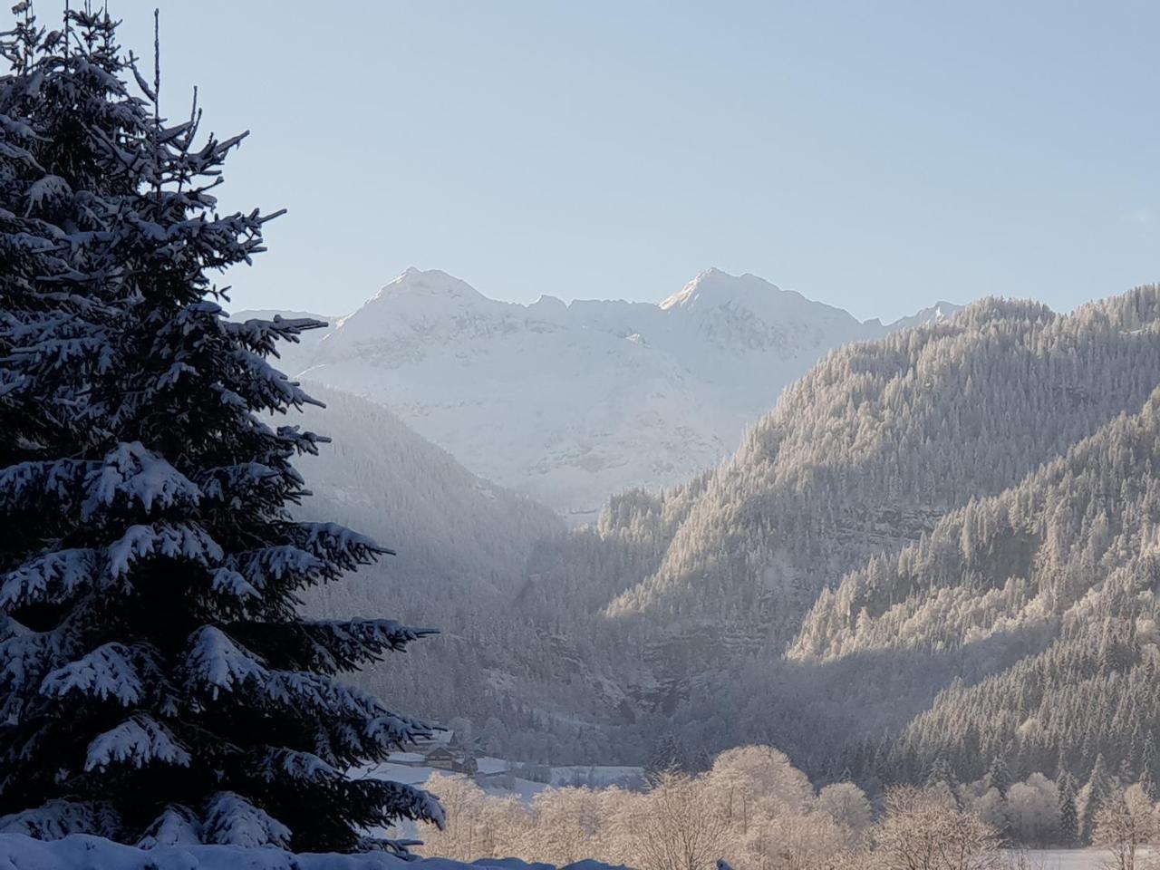 Ferienhaus Poettler Untertauern Extérieur photo