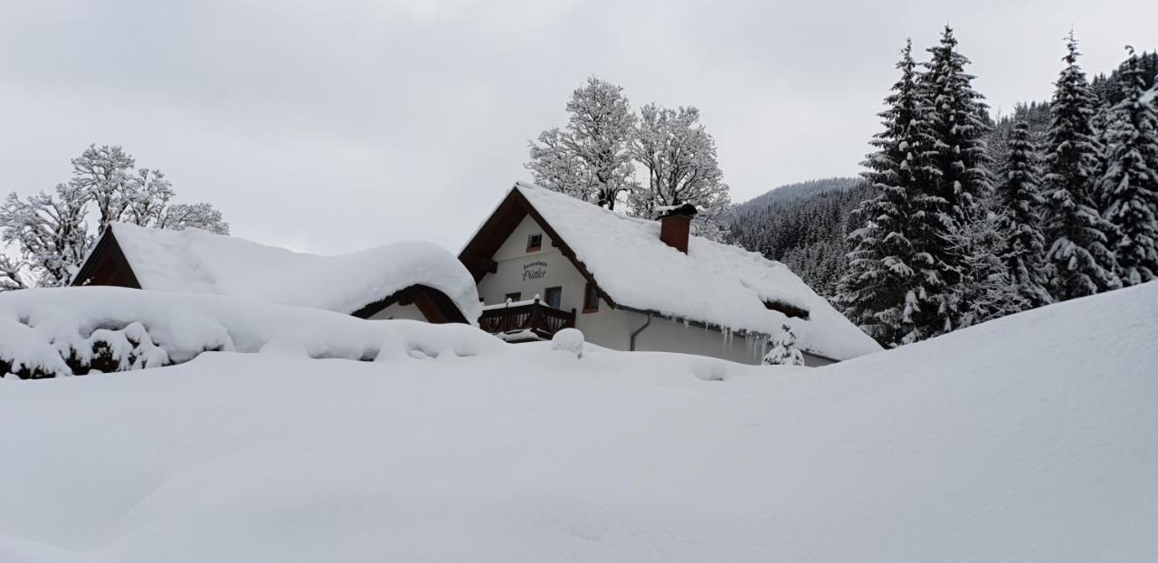 Ferienhaus Poettler Untertauern Extérieur photo
