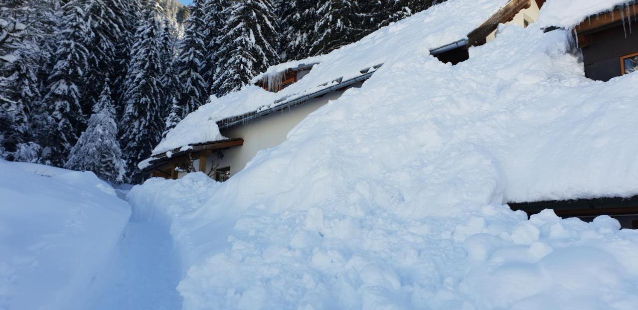Ferienhaus Poettler Untertauern Extérieur photo